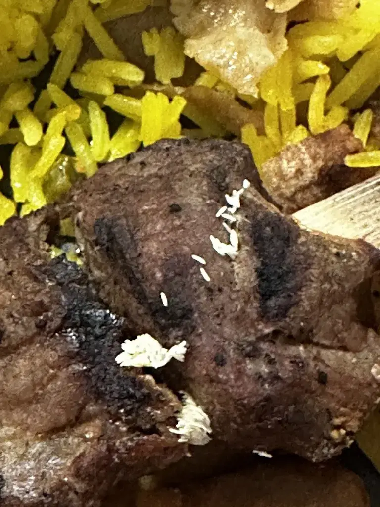 Luiza Drozdowicz_Marmaris Döner Leerdam_Leerdam_review