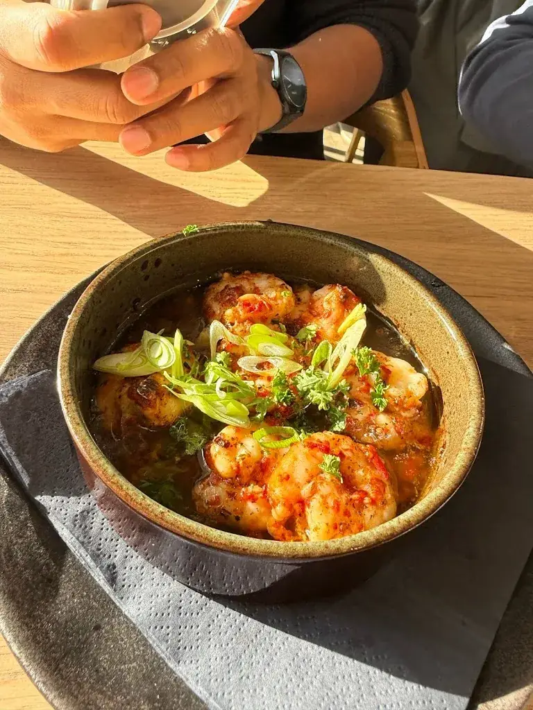 Srikant Das_Down Under_Nieuwegein_review