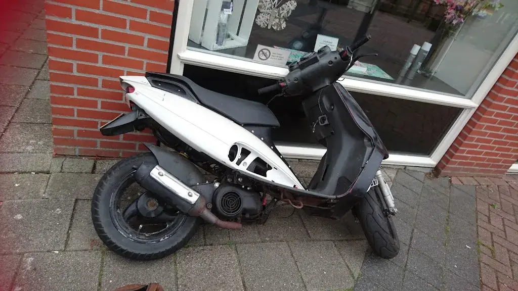 Femmina Mvr_Yanti Gorredijk_Gorredijk_avis