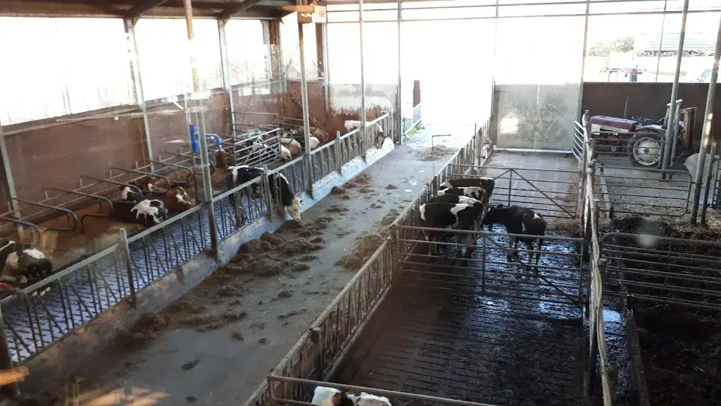 Jesse Wursten_Pannenkoekenboerderij De Ponthoeve_Vianen_review