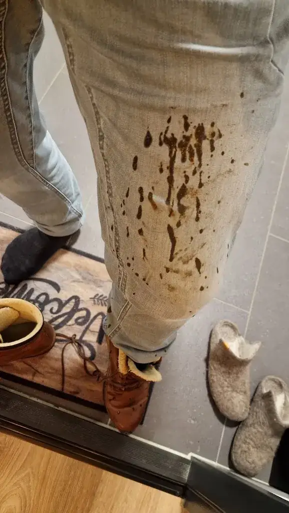 Carsten V. W._Sams King Ribs_Utrecht_recensione