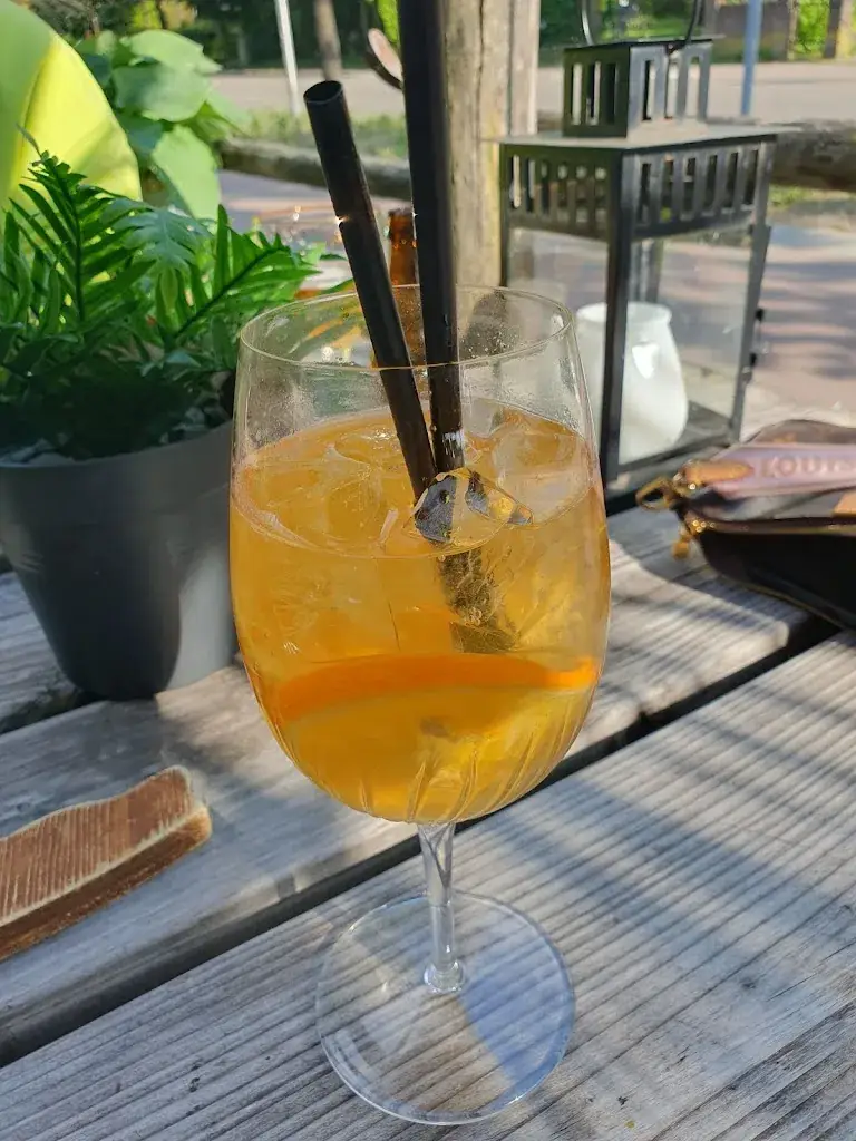 Kylie Truc Ngo_Ribhouse Texas Woudenberg_Woudenberg_review