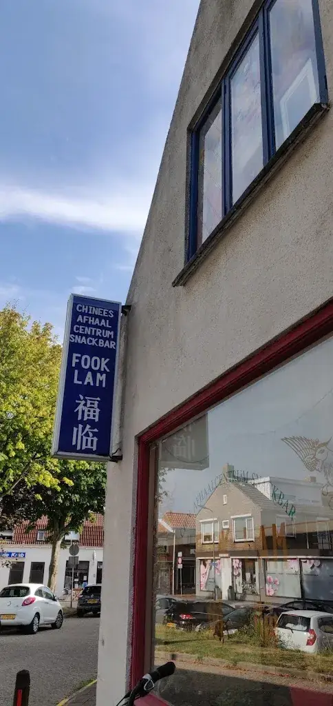 Jeroen Travel_Chinees-Indisch Afh.rest. & Snackbar Fook Lam_Arnemuiden_review