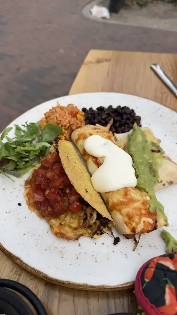 Miral_World_El Fuego_Domburg_review