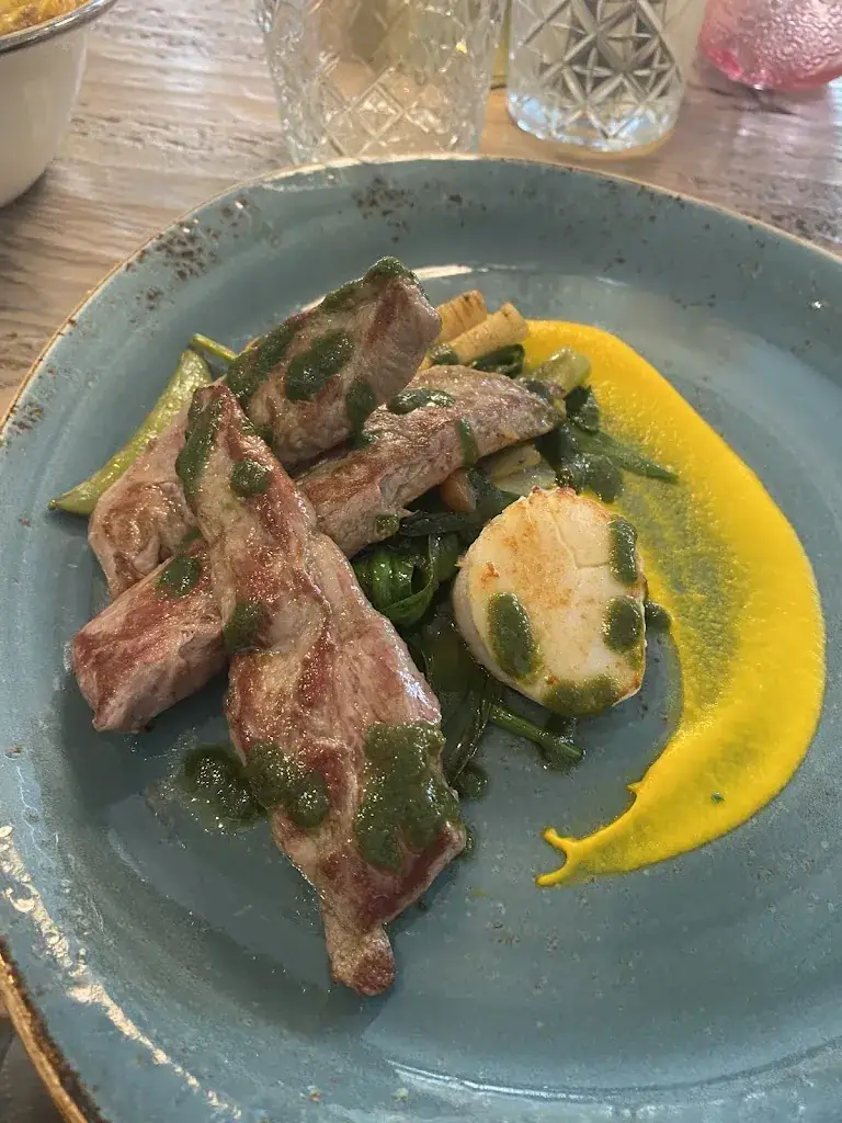 EM Zam_In den Walcherschen Dolphijn_Domburg_review