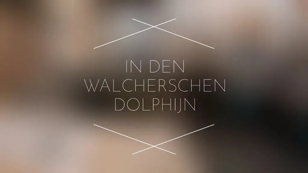 In den Walcherschen Dolphijn_Domburg_slider_image_2