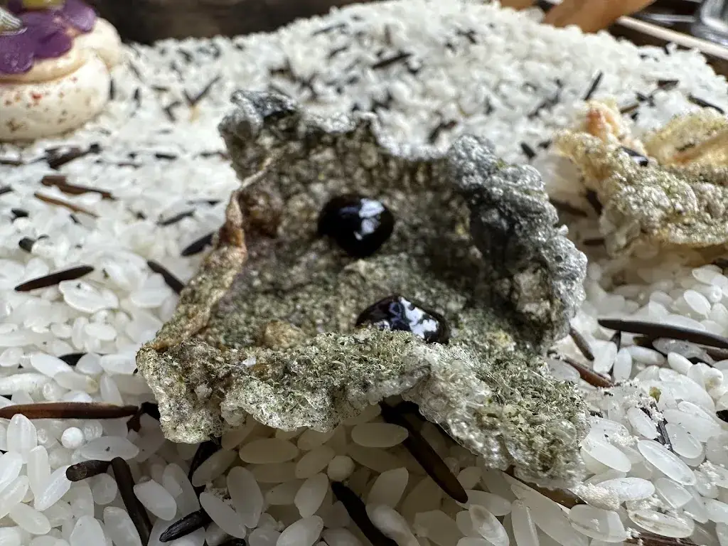 Peter Chloupek_Restaurant Mezger_Domburg_review