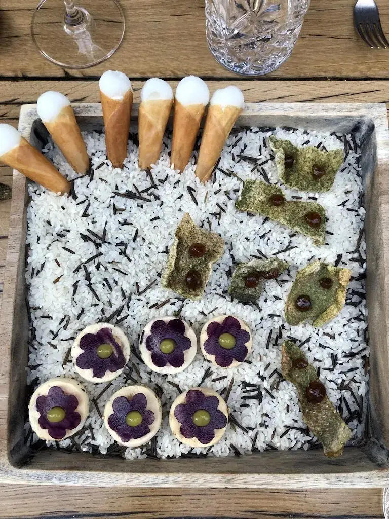 Suresh Chadda_Restaurant Mezger_Domburg_review