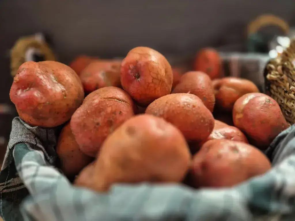 Menu_Mister Jacks_Franeker_image_6