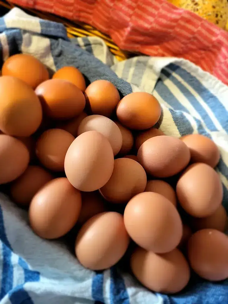 Menu_Dorpshuis Vijverzicht_Borssele_image_7