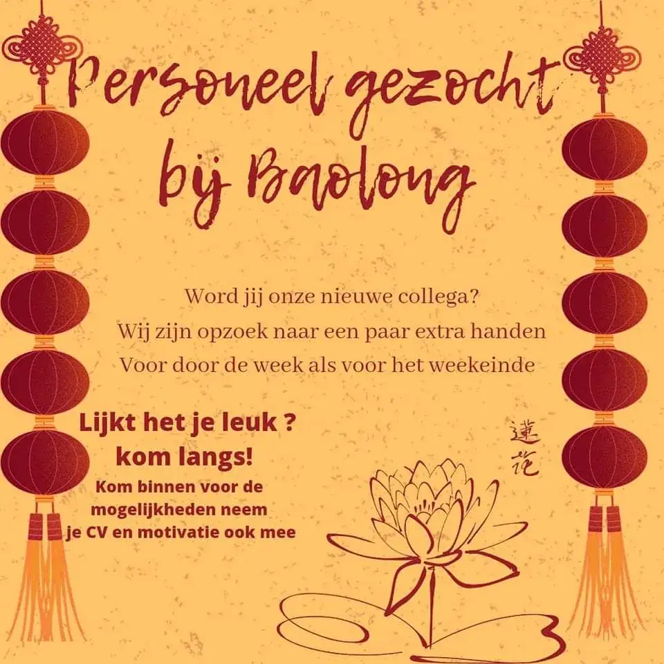 Menü_Chinees Indisch Restaurant Baolong_Franeker_Bild_2