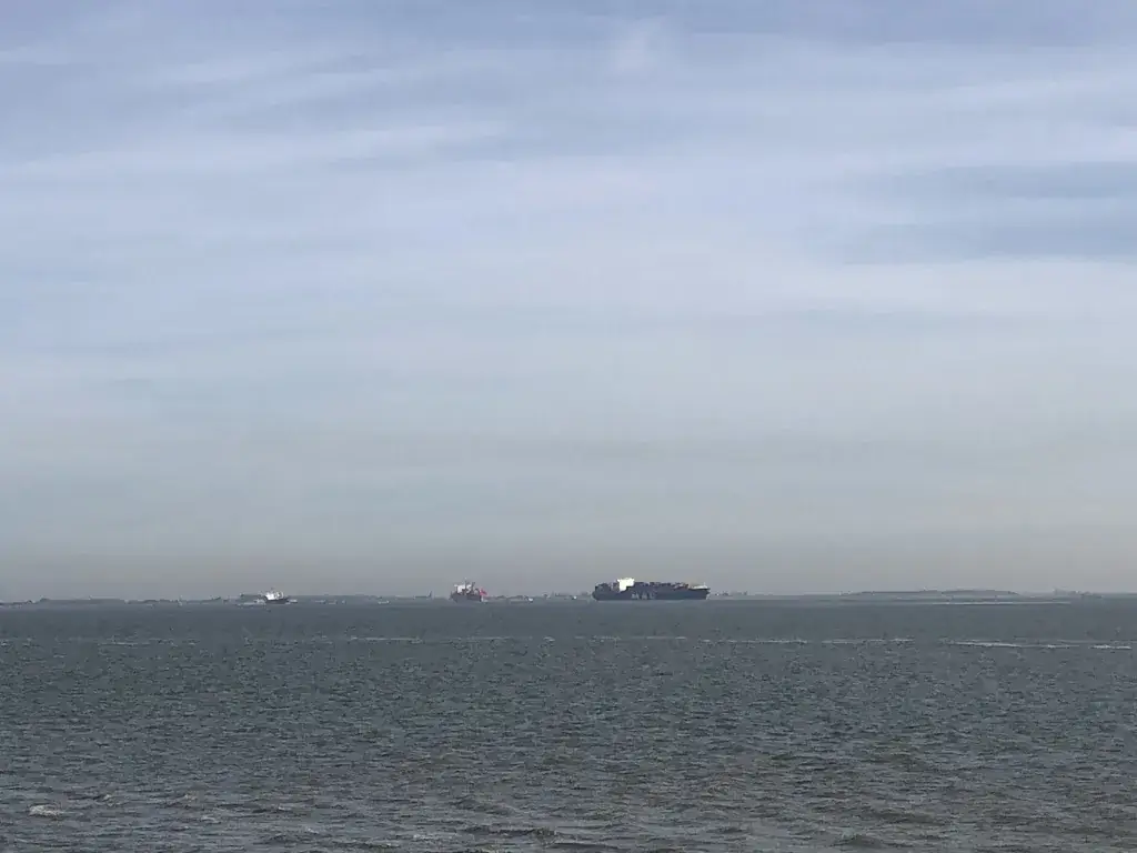 Rico S._Scheldebrasserie de Landing_Baarland_review