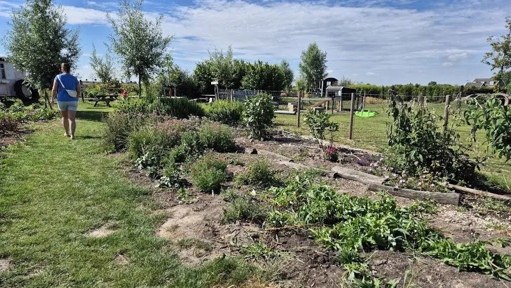 S G_Pluktuin en theetuin 't Blommerondje_Borssele_review