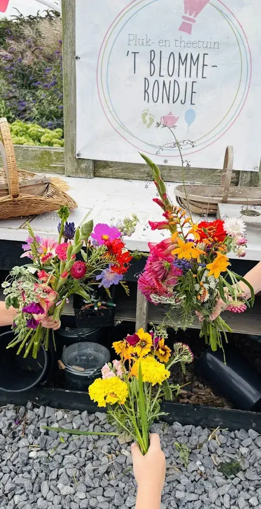 Dianne Nijkamp_Pluktuin en theetuin 't Blommerondje_Borssele_review