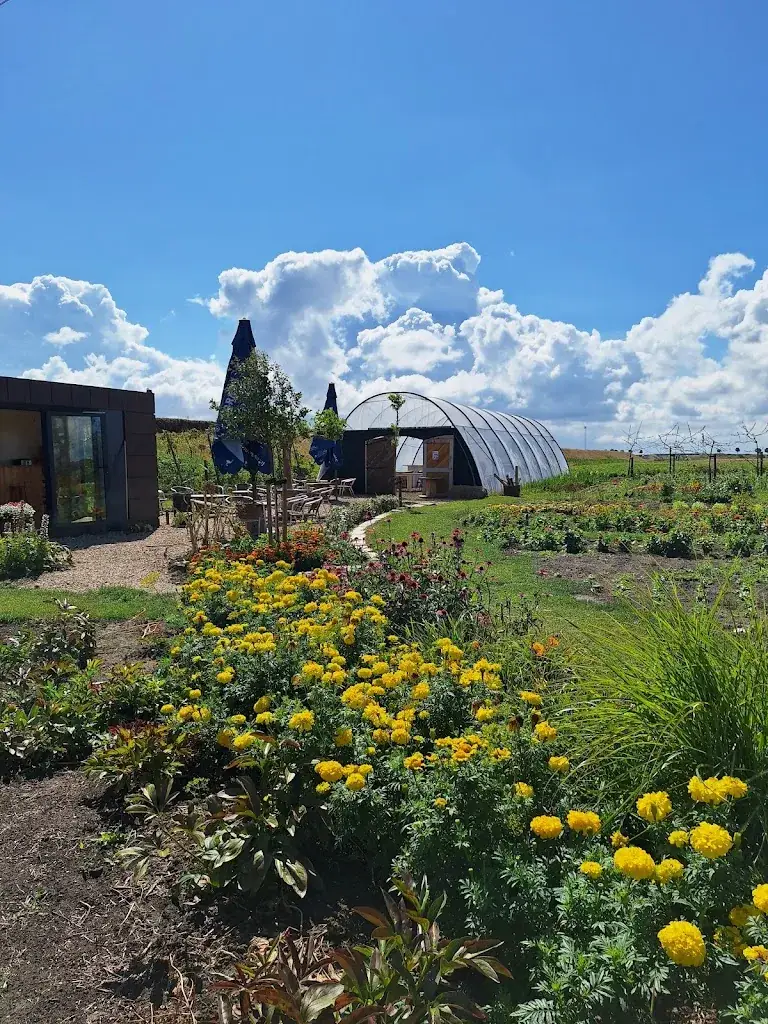 Pluktuin en theetuin 't Blommerondje_Borssele_slider_image_2