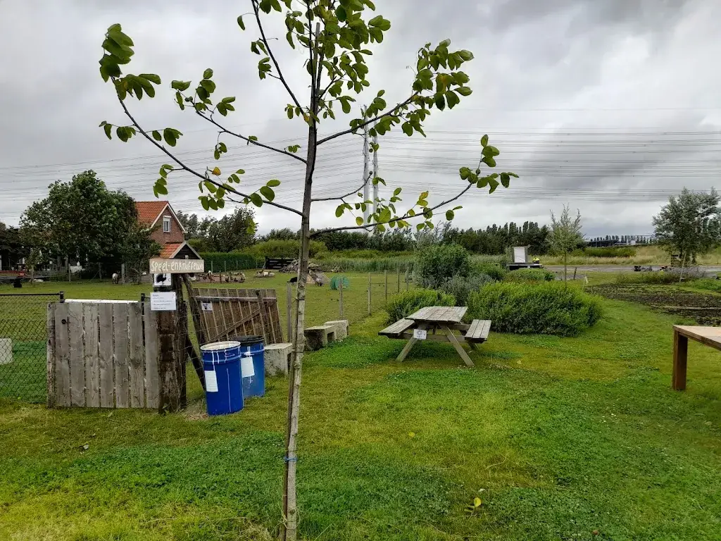 Pluktuin en theetuin 't Blommerondje_Borssele_slider_image_3