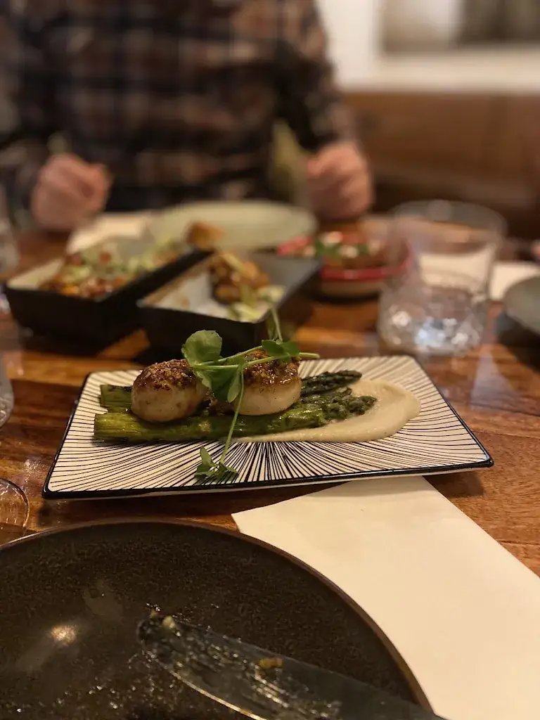 Yasin Yilmaz_La Presa_Middelburg_review