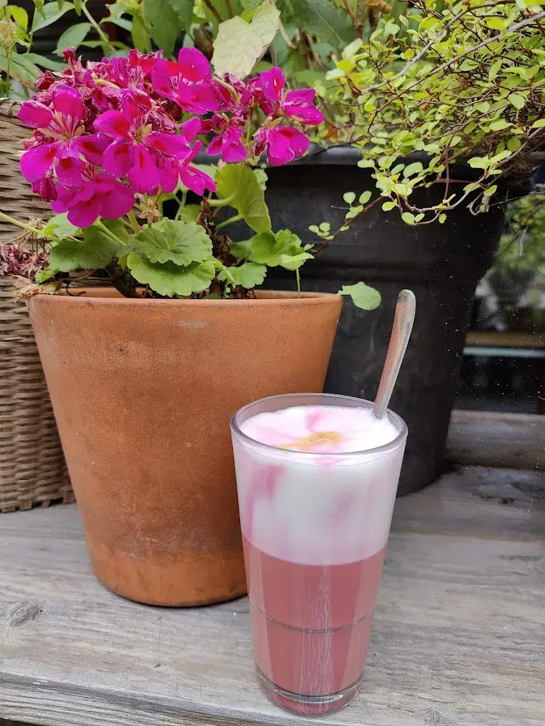 Indraja Juciūtė_Jells Lunchcafé & Tuinterras_Middelburg_reseña