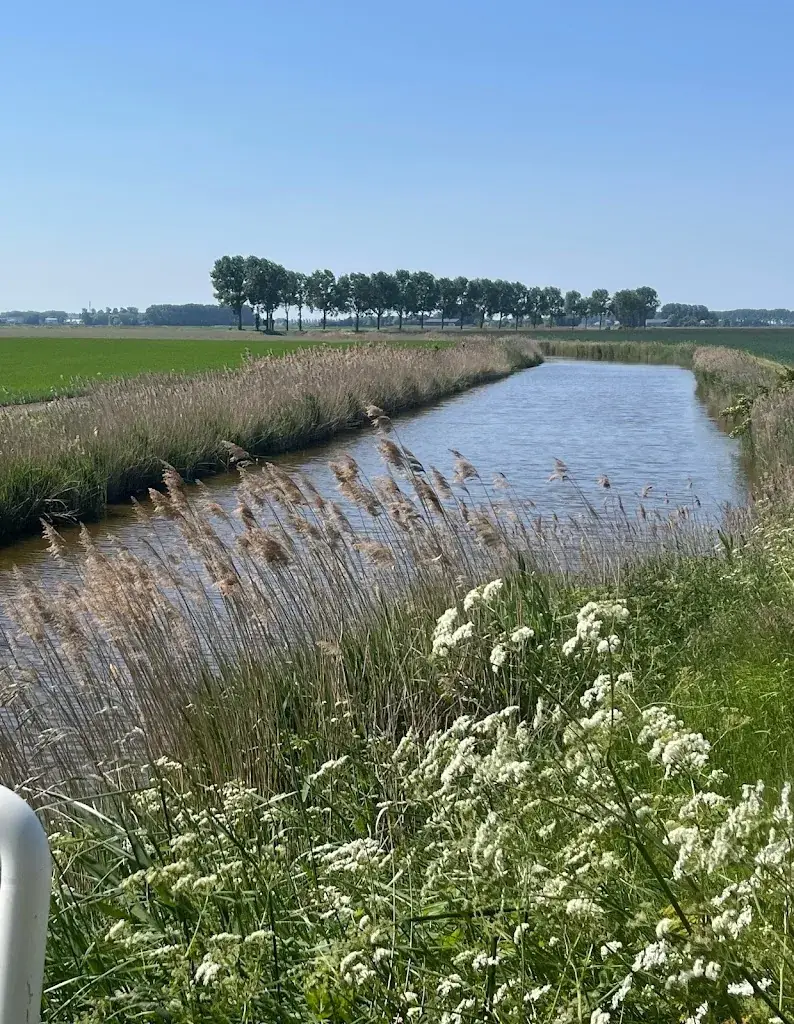 Mauritshof 5, IJzendijke_IJzendijke_slider_image_1