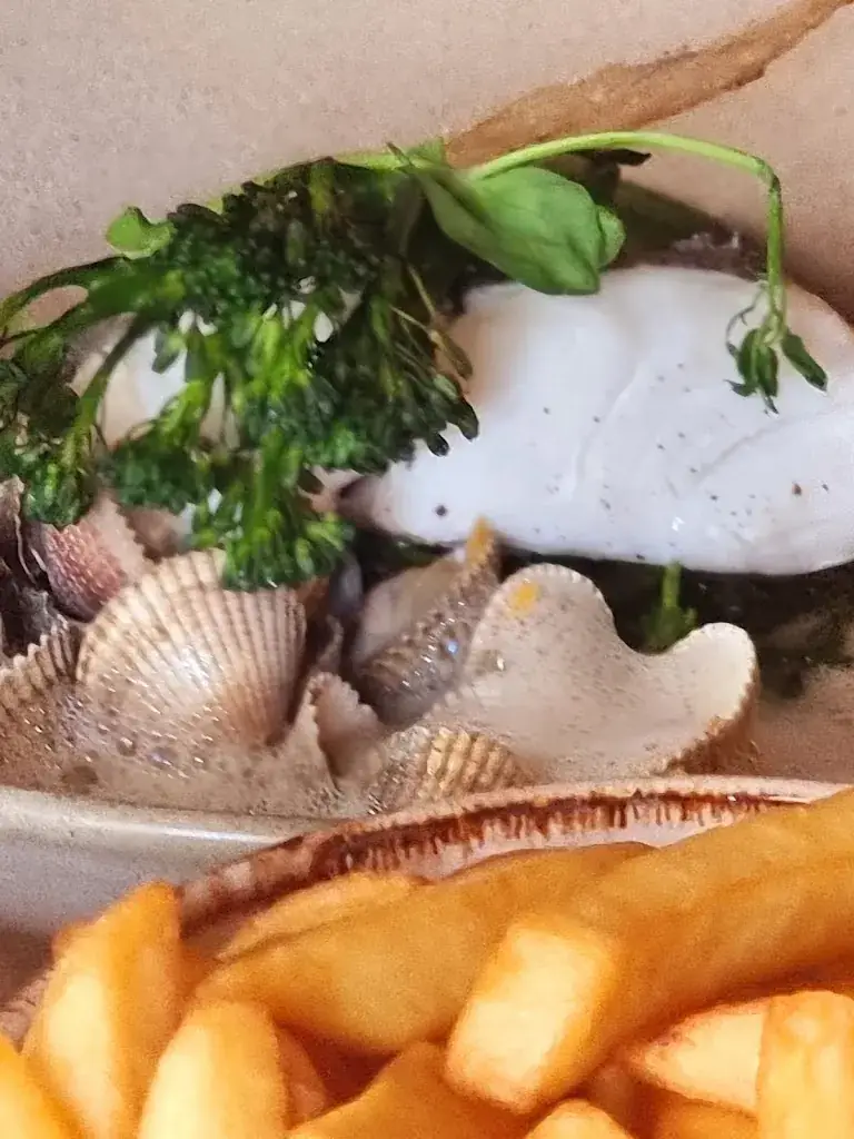 Yulia K_Gerrie's_Breskens_review