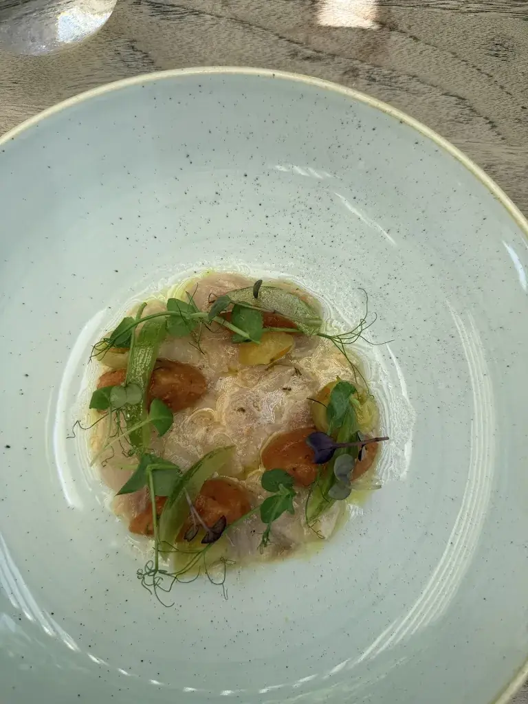 Stefan Inghels_'t Vlasbloemeken_Koewacht_review