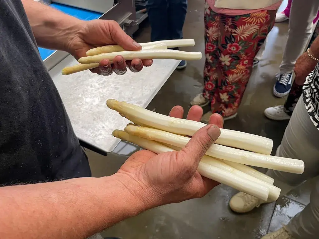 Menu_de Letter Asperges & Zo_Koewacht_image_5