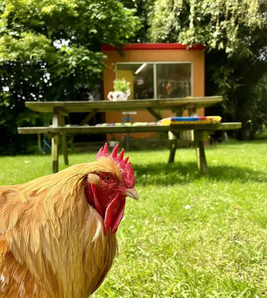 Theetuin Koewacht_Koewacht_slider_image_2