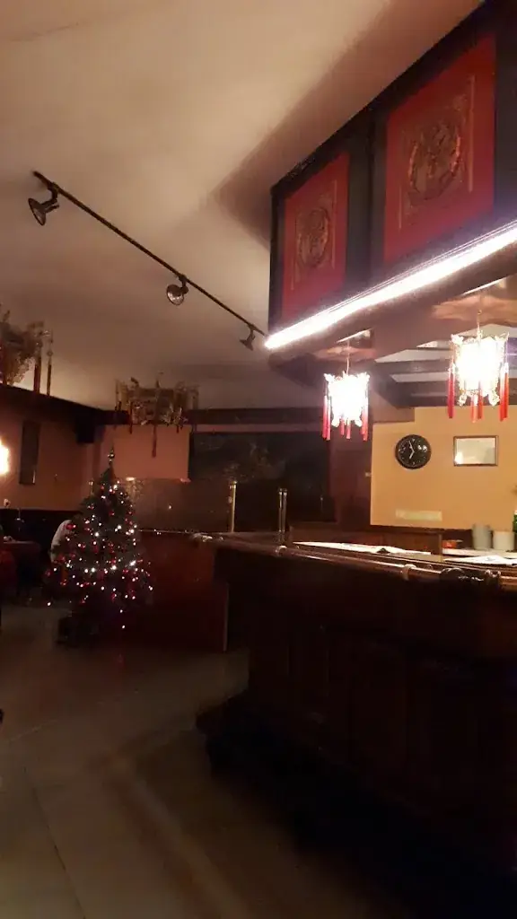 Chinees Indisch Kantonees Restaurant 