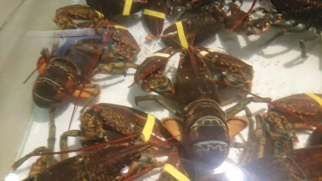 Menu_Seafarm Restaurant_Kamperland_image_6