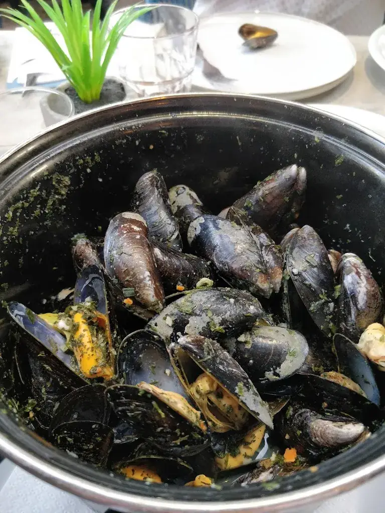 Mandy Lo_Mossels & Meer_Oostkapelle_review