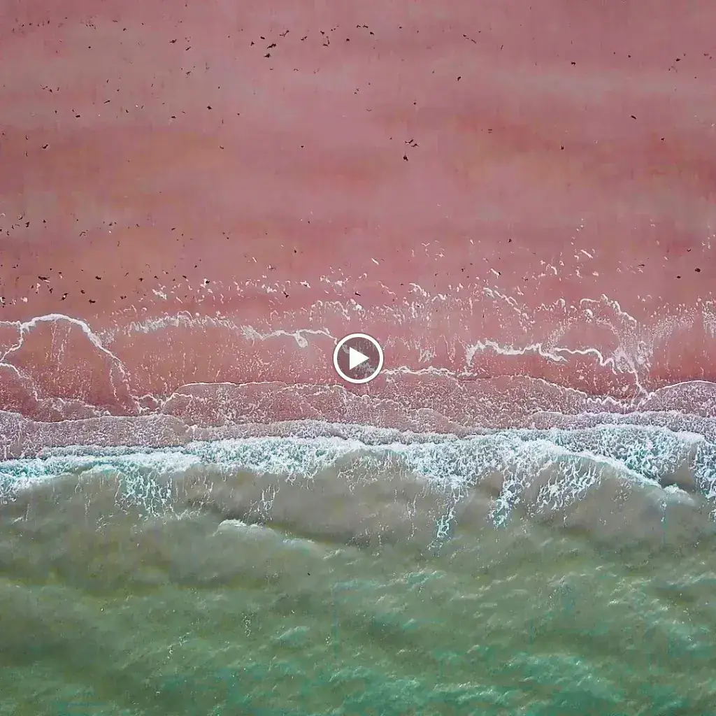 Strandpaviljoen De Botanist aan Zee_Koudekerke_slider_image_2