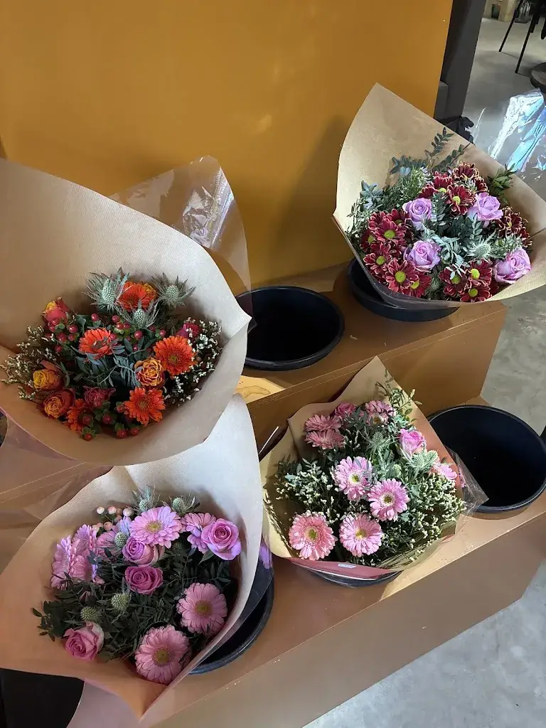 Hetzeeuwsappeltaartje restaurant in Meliskerke