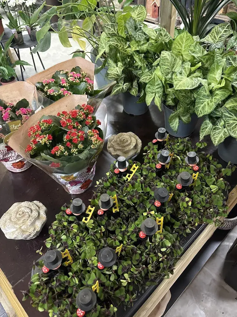 Hetzeeuwsappeltaartje_Meliskerke_slider_image_2