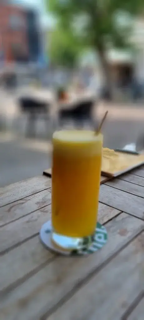 Murat DNC_Brasserie Harkema_Groningen_recensione