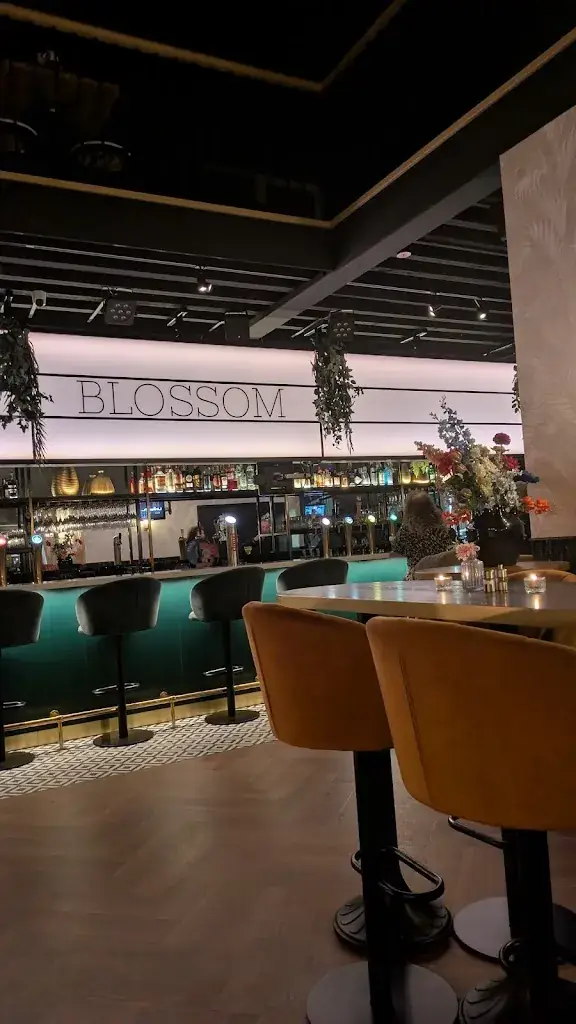 Tarun Bansal_Blossom Kitchen & Bar_Breskens_review