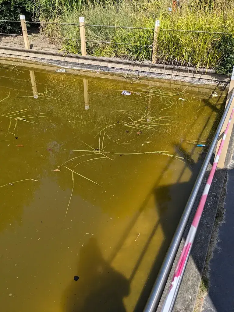 Christian Schniering_Restaurant Schoneveld_Breskens_review