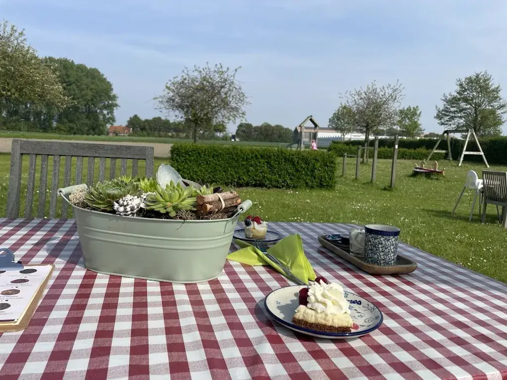 Марія Холявка_Theeschenkerij de Pluktuin_Koudekerke_review