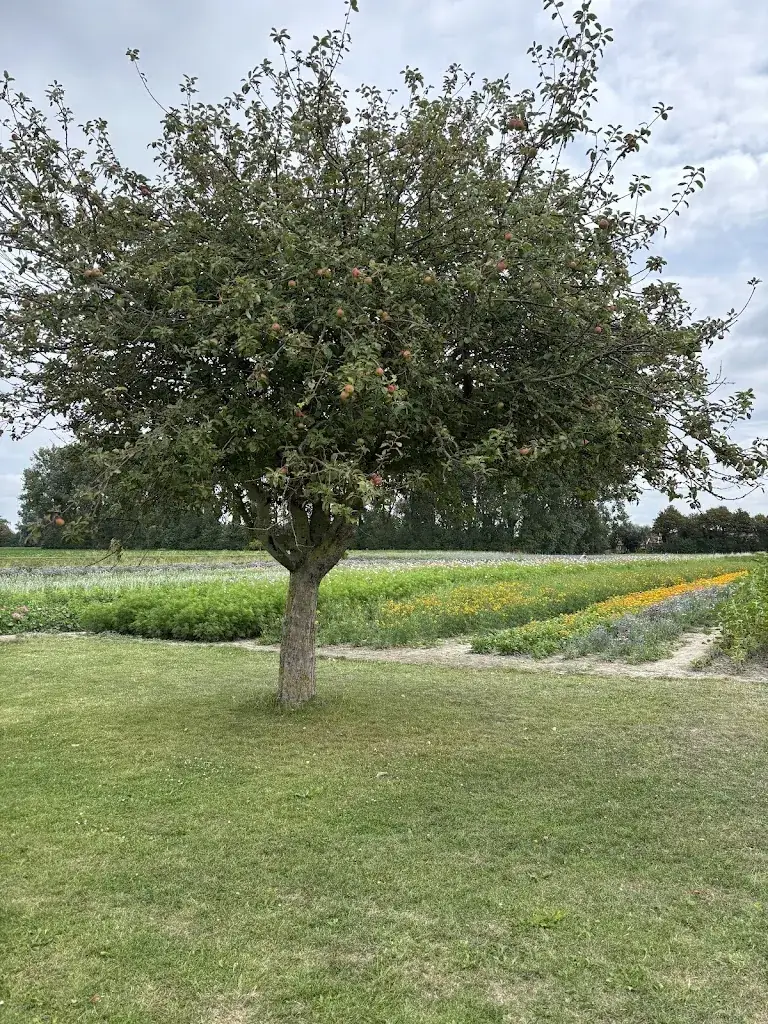 Waldy Eshuis_Theeschenkerij de Pluktuin_Koudekerke_review