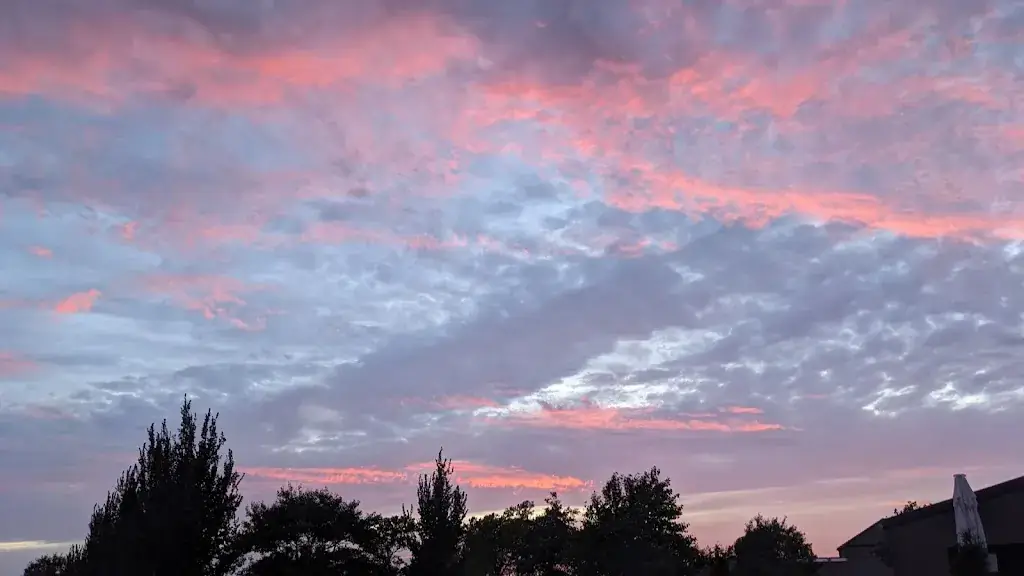 Jeroen Nasnl_Alexander's Restaurant_Kerkwerve_review