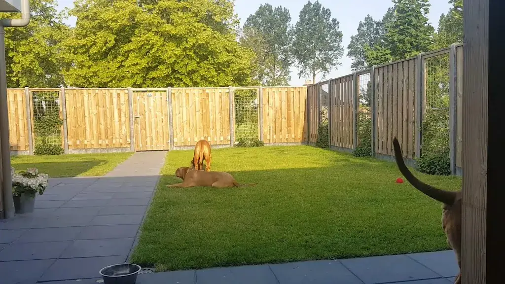 Oud-Kempen Eetcafé_Stavenisse_slider_image_2