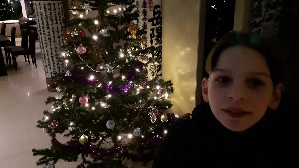 Wok Plaza_Sluiskil_slider_image_2