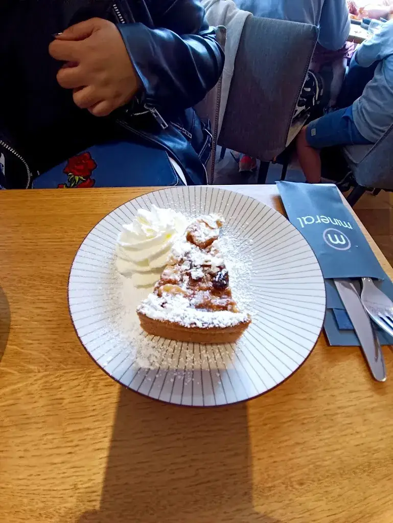 M Goldberg_Mineral Sluis_Sluis_review