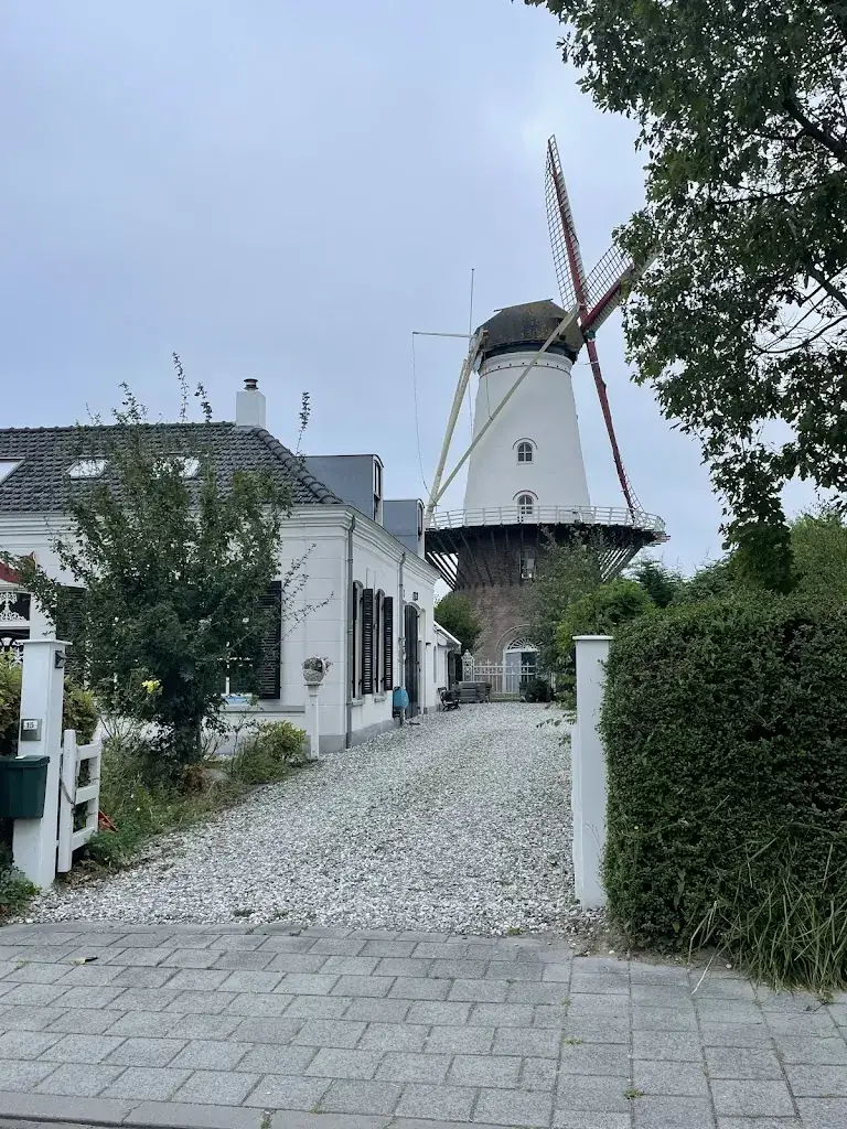 John Michael Marino_1401 Lunch & brood_Wemeldinge_review