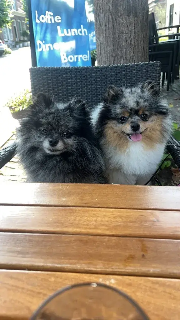 Barbara S_Café de Zeevonk_Wemeldinge_review