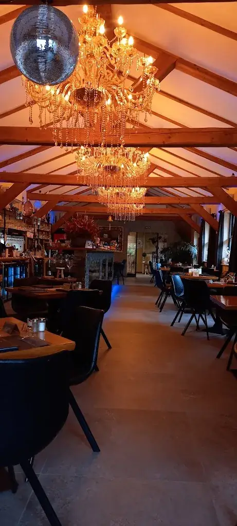 D.C BOTHA_The Schuur_Hulst_review