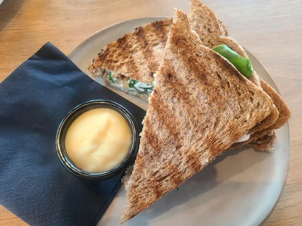 penny holloway_Jonas Harlingen_Harlingen_review