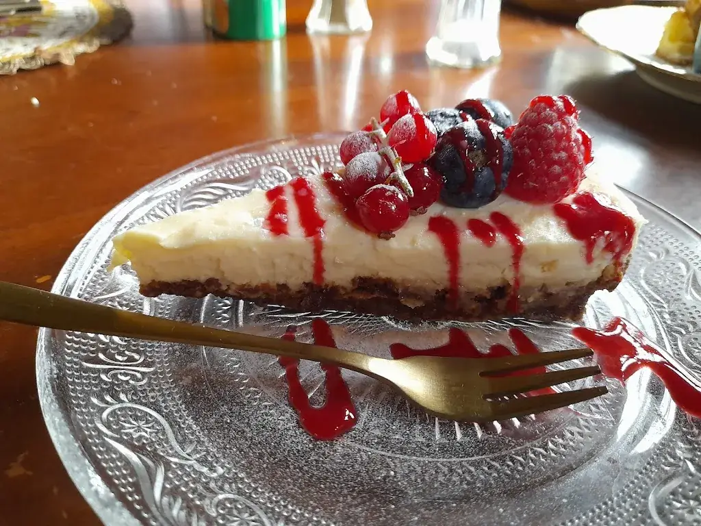 c. wesselingh_'t Voss&Rijck_Hulst_review