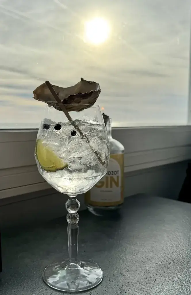 Chrisse 1973_Strandpaviljoen de strandzot_Zoutelande_review