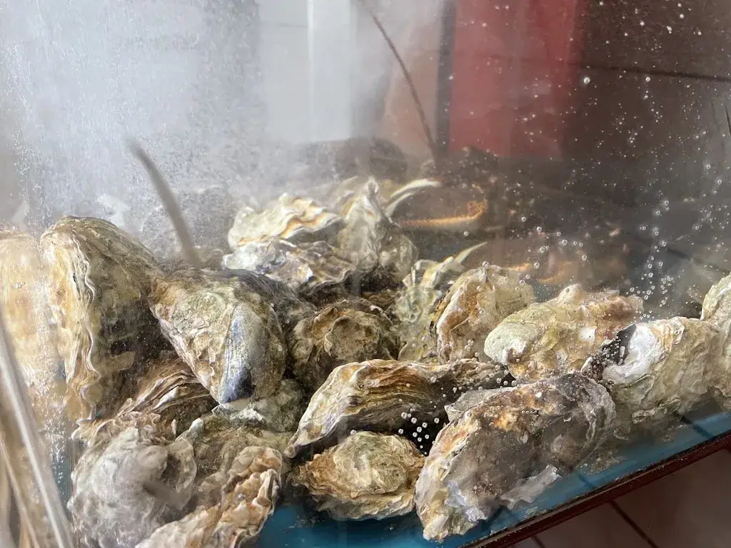 Wibke L._Kreeke's Vis_Wolphaartsdijk_review