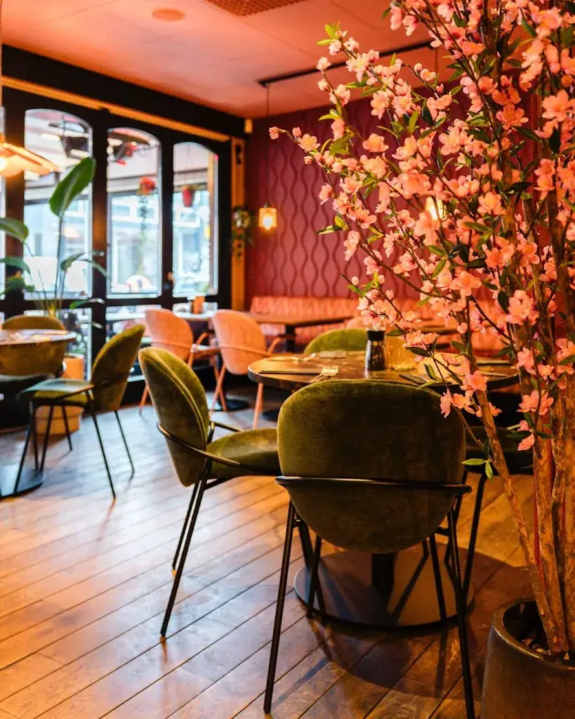 Brasserie De Zeezot restaurant in Westkapelle